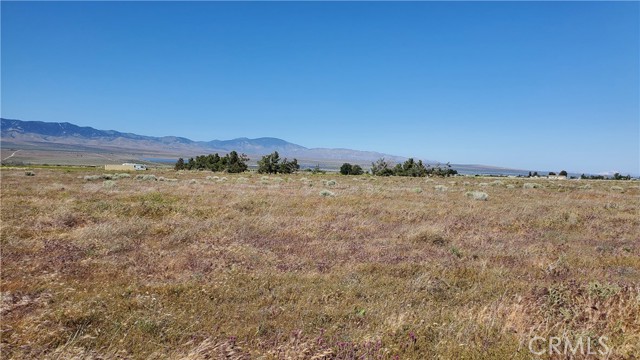 Detail Gallery Image 14 of 24 For 0 263rd St West North of Ave C13, –,  CA 93536 - – Beds | – Baths