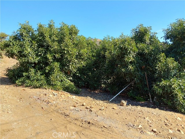 Detail Gallery Image 31 of 38 For 3 via Vaquero, Temecula,  CA 92590 - – Beds | – Baths