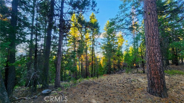 Detail Gallery Image 7 of 15 For 0 Mill Creek Road, Yreka,  CA 96097 - – Beds | – Baths