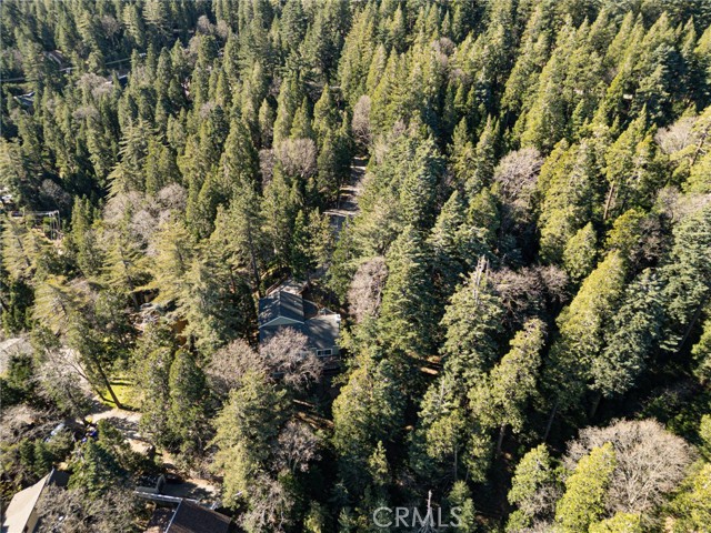 Detail Gallery Image 34 of 40 For 24502 Albrun Ct, Crestline,  CA 92325 - 3 Beds | 2/1 Baths