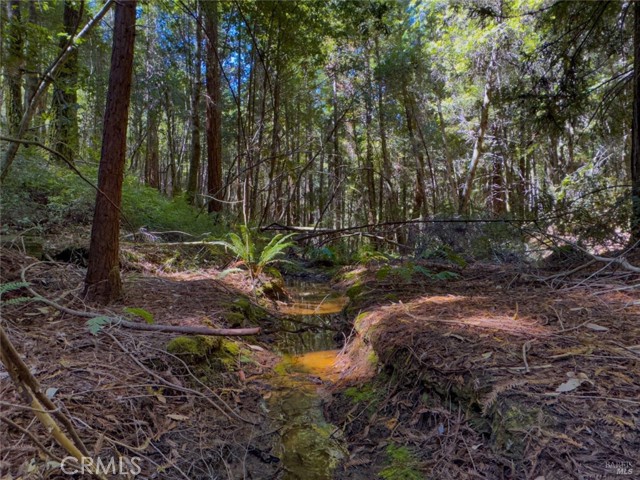 Detail Gallery Image 7 of 12 For 3700 Redwood Creek Rd, Willits,  CA 95490 - – Beds | – Baths