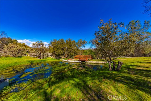 Detail Gallery Image 21 of 75 For 44755 Savage Rd, Coarsegold,  CA 93614 - 3 Beds | 2 Baths