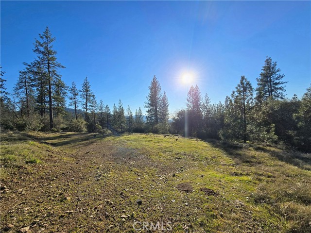 Detail Gallery Image 12 of 34 For 0 Double Eagle Way, Brownsville,  CA 95919 - – Beds | – Baths