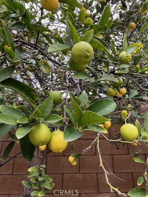 8640 Westman, Whittier CA: https://media.crmls.org/medias/5d841f86-726e-4483-8560-624ef9bb53bf.jpg