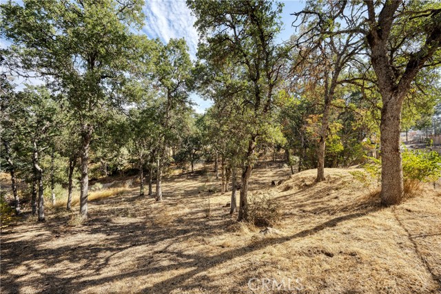 15358 Pacific Street, Clearlake, California 95422, ,Land,For Sale,15358 Pacific Street,CRLC23176279