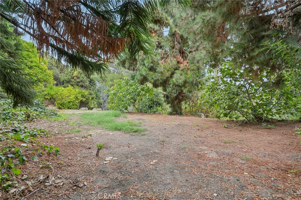 MLS #SR25227428 image #40