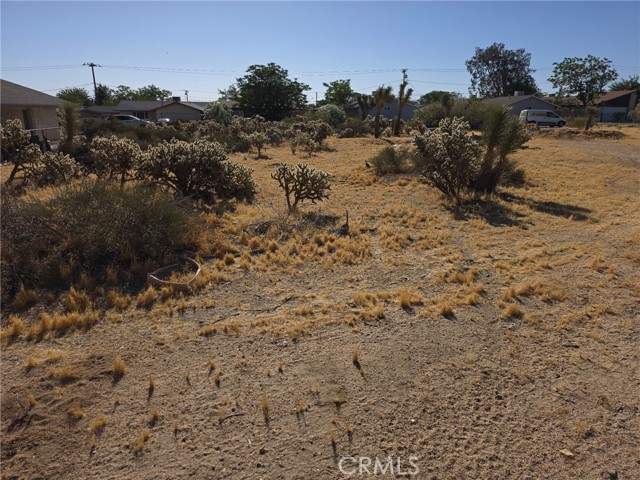 Front Image Thumbnail for CRMB26129774