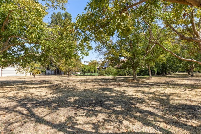 Detail Gallery Image 60 of 60 For 3515 Bell Estates Dr, Chico,  CA 95973 - 6 Beds | 5/1 Baths
