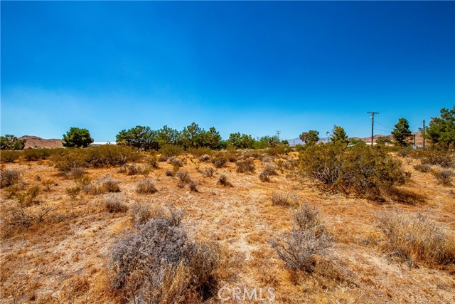  Land for Sale in Rosamond, California