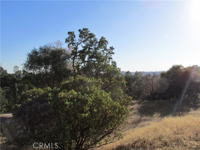 Detail Gallery Image 24 of 54 For 2 Ac Old Oaks Ct, North Fork,  CA 93643 - – Beds | – Baths