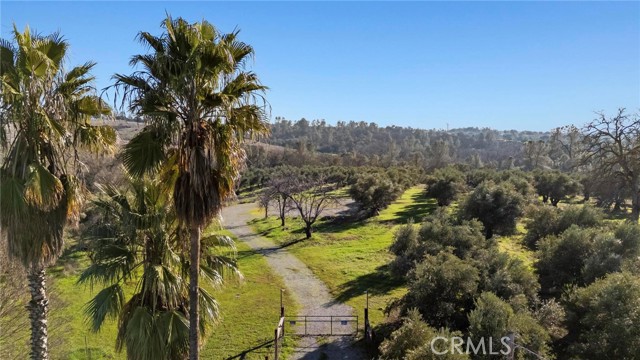 Detail Gallery Image 4 of 19 For 7300 Lower Wyandotte Rd, Oroville,  CA 95966 - – Beds | – Baths