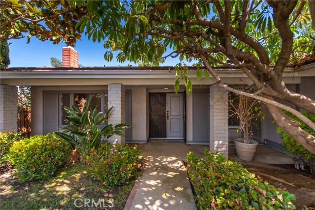 3135 Starling Avenue photo 3