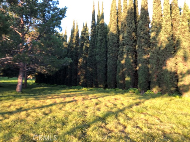 Detail Gallery Image 8 of 23 For 122 Vintage #20,  Irvine,  CA 92620 - 3 Beds | 3 Baths