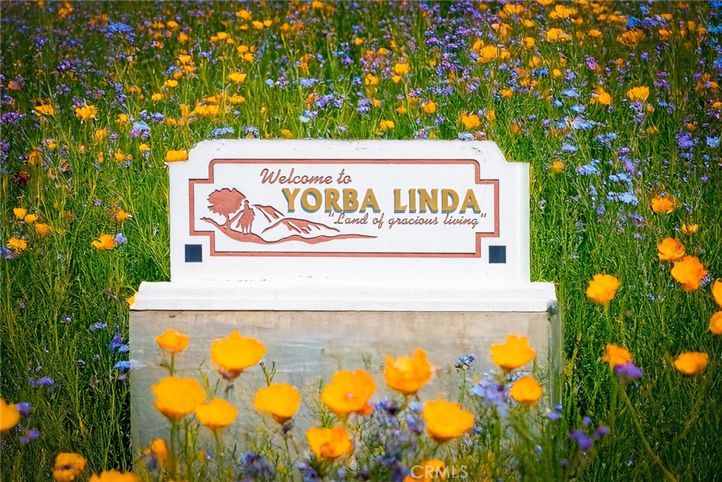 MLS #IG25220370 image #38