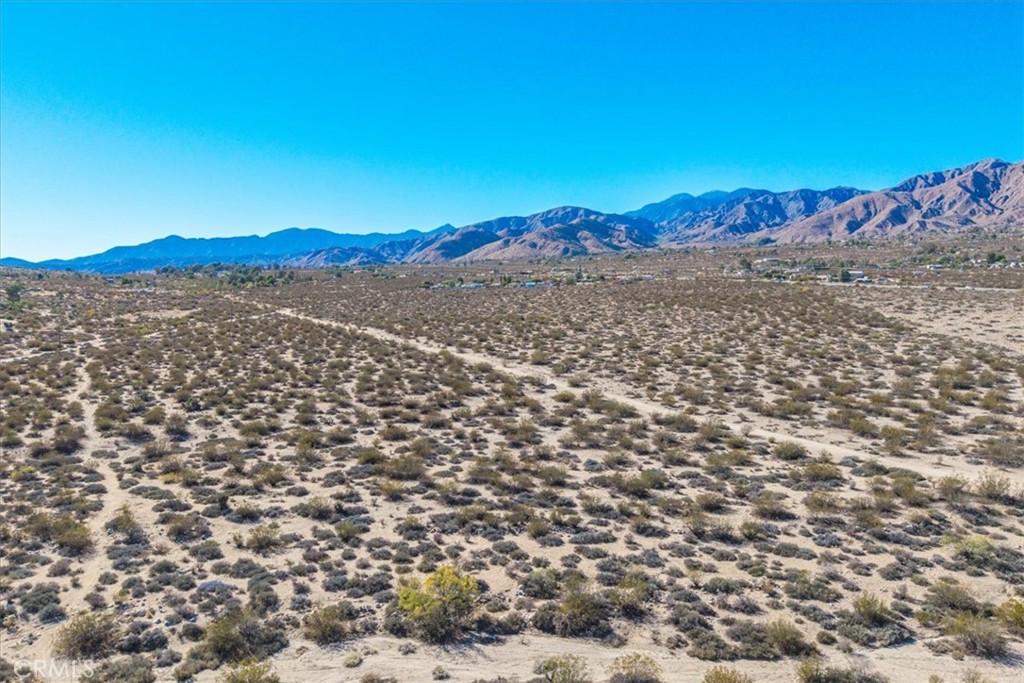 MLS #JT25257791 image #10