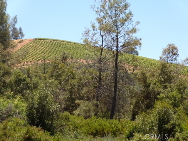 Image 3 for 1105 Round Mountain Rd, Clearlake Oaks, CA 95423