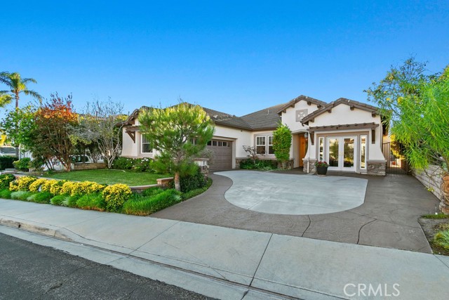 Front Image Thumbnail for CROC25258505