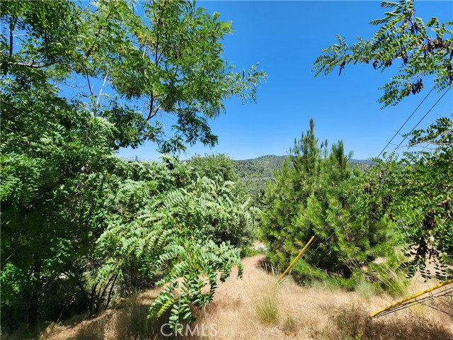 Detail Gallery Image 4 of 30 For 31912 Encina Way, Running Springs,  CA 92382 - – Beds | – Baths