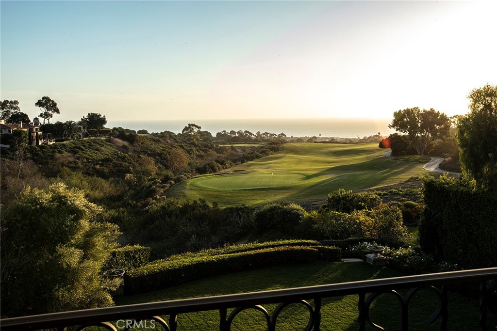 5dc684e7 Ded9 4e8c A829 Ea40ff1a797d