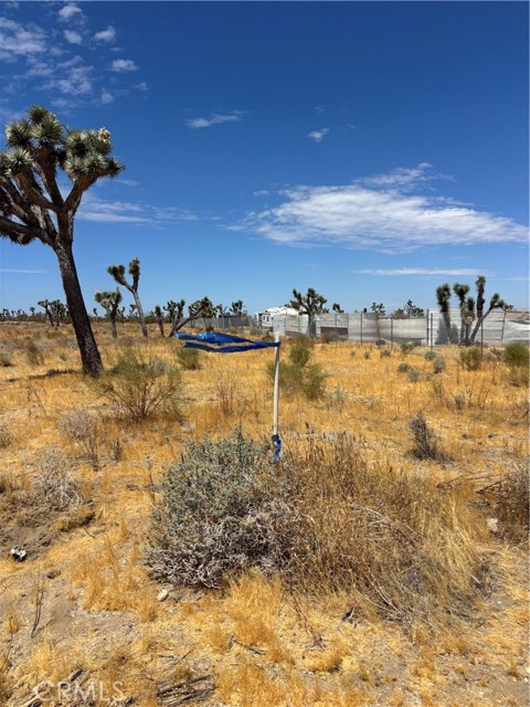  Land for Sale in Black Butte, California