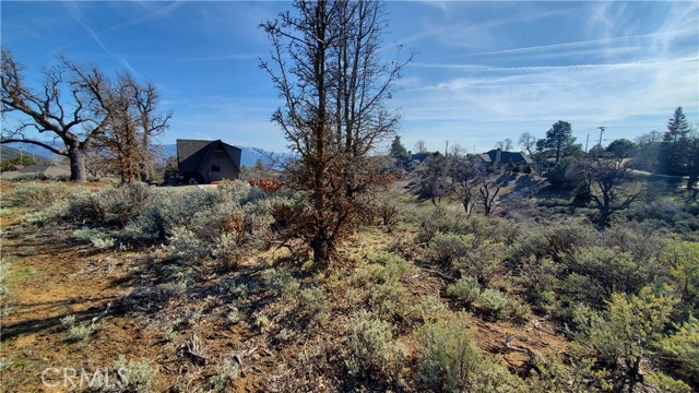 25041 Jacaranda Drive, Tehachapi, California 93561, ,Land,For Sale,25041 Jacaranda Drive,CRSR23210317