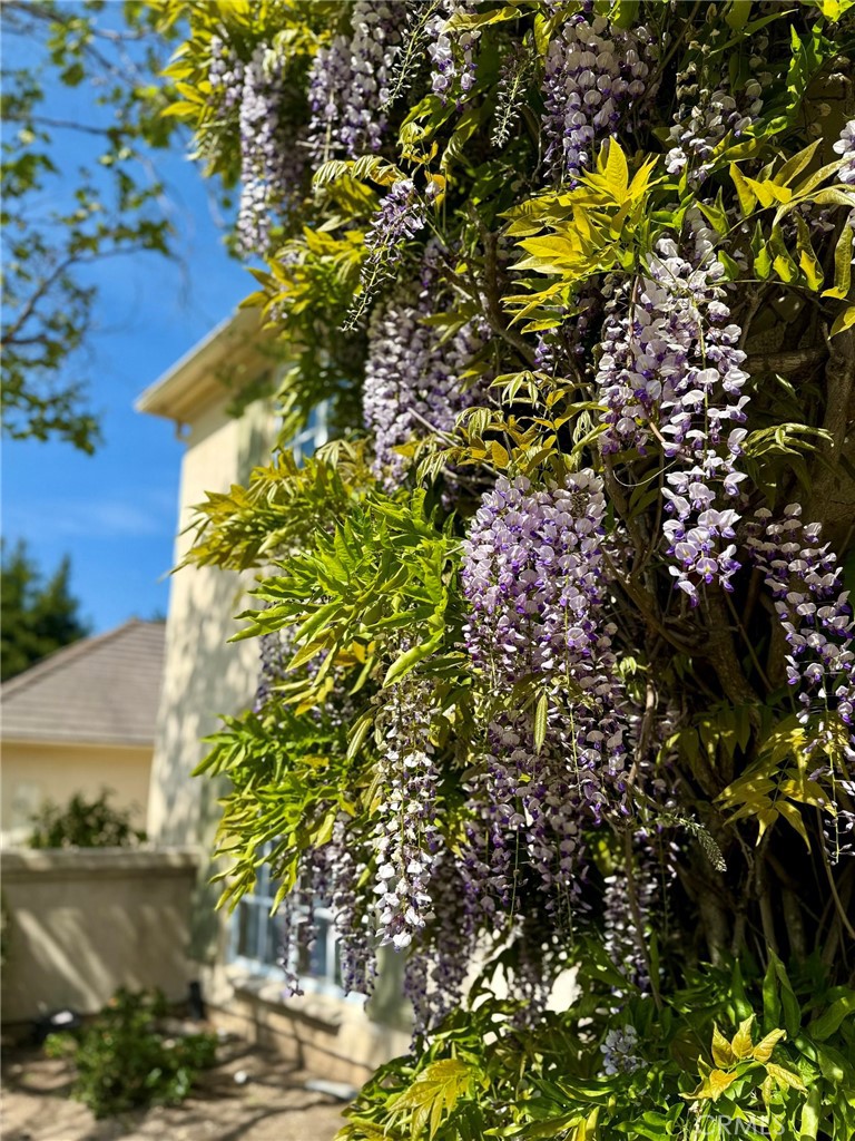 https://media.crmls.org/medias/5dc8bc65-74c5-46ee-8139-5504499a515f.jpg?preset=X-Large
