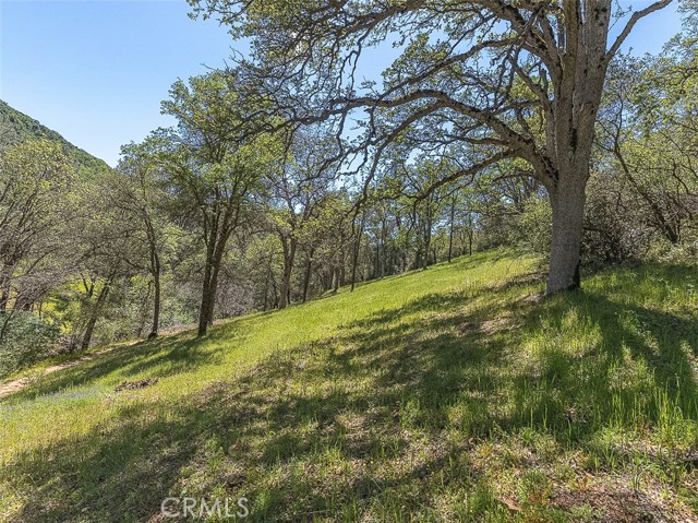 Detail Gallery Image 42 of 75 For 4743 Buffalo Gulch Rd, Midpines,  CA 95345 - – Beds | – Baths