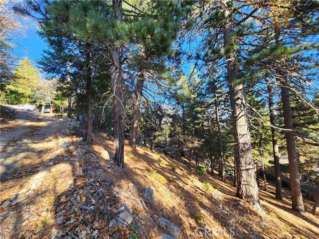 0 Lovers Lane, Rimforest CA: https://media.crmls.org/medias/5dd0f4d7-ed79-4378-a344-b76262d293b9.jpg