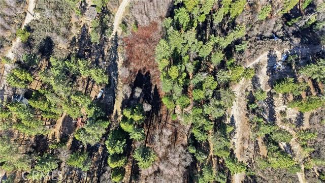 Detail Gallery Image 3 of 11 For 0 Little Bear Ck, Cedar Glen,  CA 92321 - – Beds | – Baths