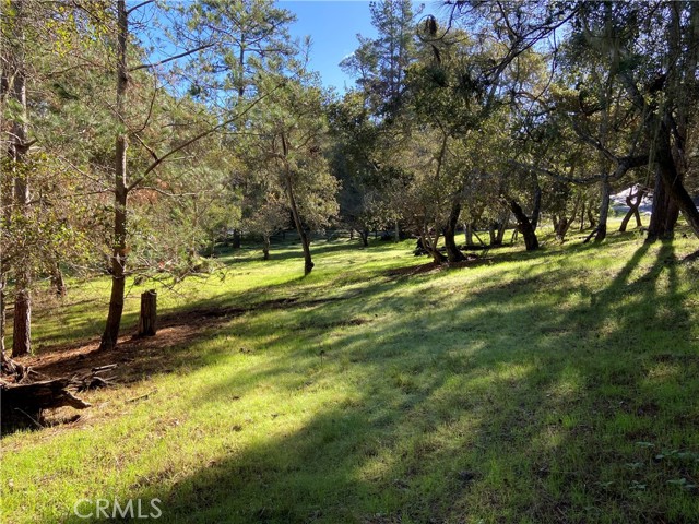 0 Kenneth, Cambria, California 93428, ,Land,For Sale,0 Kenneth,CRSC24012358