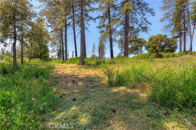 Detail Gallery Image 12 of 12 For 9142 Skyway, Paradise,  CA 95969 - – Beds | – Baths