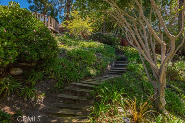 Steps to viewing deck