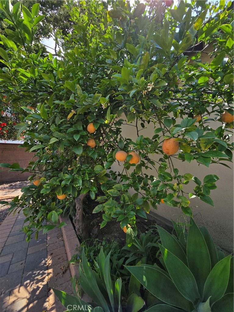 https://media.crmls.org/medias/5ddec868-20da-490c-845d-5f207158d7ee.jpg?preset=X-Large