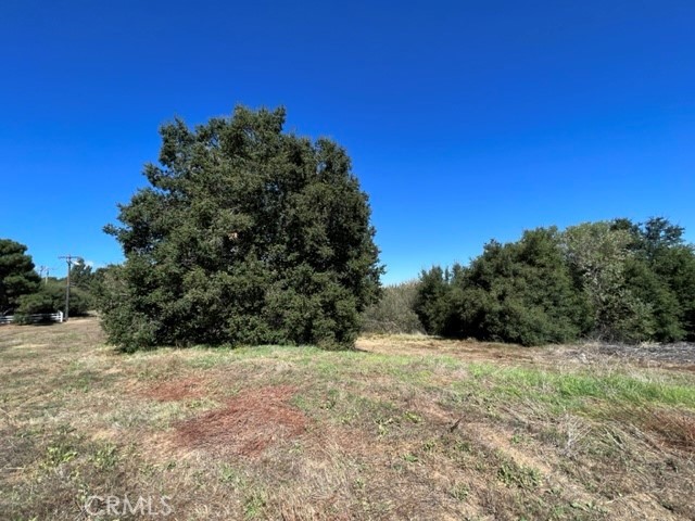 0 Monterey Road, Lake Elsinore, California 92530, ,Land,For Sale,0 Monterey Road,CROC23184252