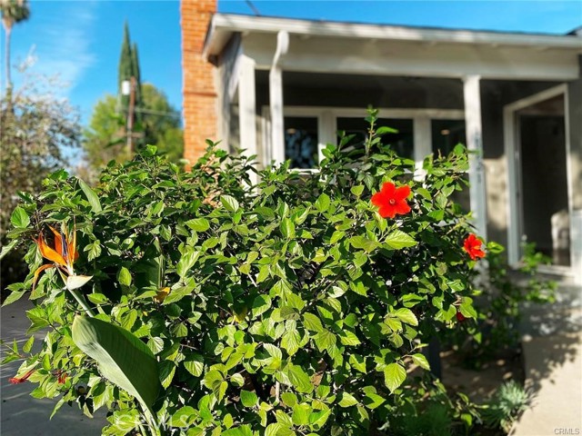 18221 Gresham Street, Northridge CA: https://media.crmls.org/medias/5de1e690-84fc-41c2-8064-6e6512937830.jpg