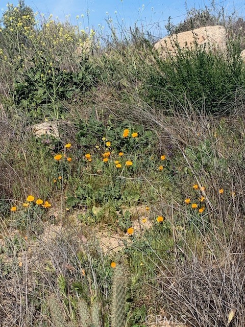 Detail Gallery Image 9 of 9 For 0 Inland, Aguanga,  CA 92536 - – Beds | – Baths