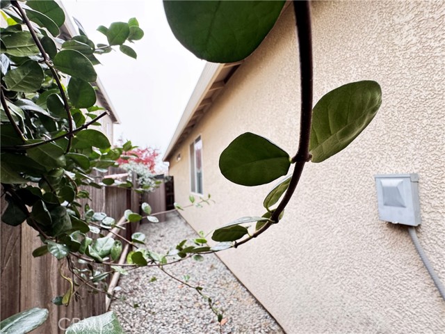 Detail Gallery Image 51 of 55 For 2945 W Vine, Visalia,  CA 93291 - 4 Beds | 2 Baths