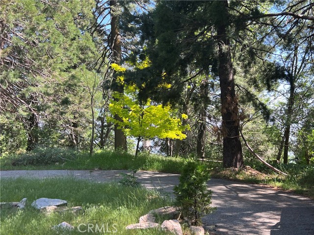 28879 Sycamore Drive, Lake Arrowhead CA: https://media.crmls.org/medias/5de587ad-4315-492c-b3e7-0ef5adcd5c58.jpg