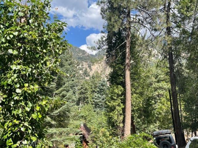 9592 Snowdrift Drive, Forest Falls, CA, 92339 9592 Snowdrift Drive, Forest Falls, CA, 92339