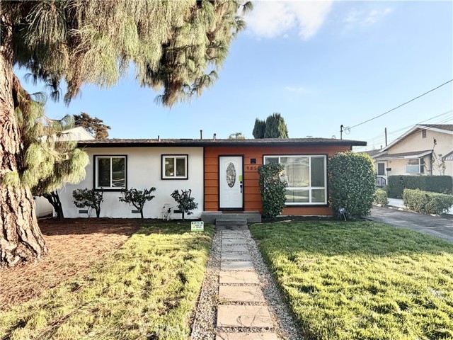 Front Image Thumbnail for CROC25240308