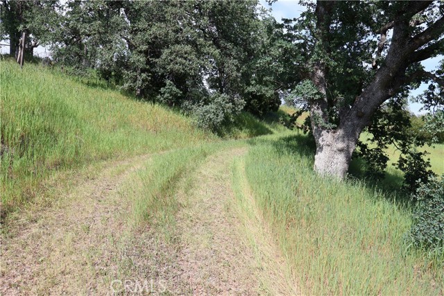 Detail Gallery Image 3 of 10 For 7325 Bluebird Rd., Corning,  CA 96021 - – Beds | – Baths