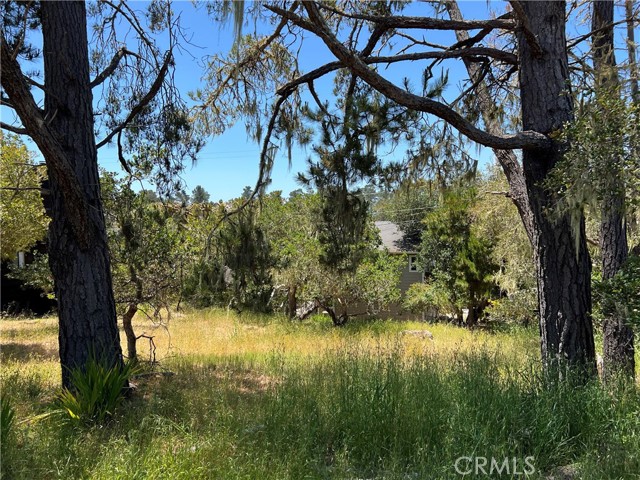 Detail Gallery Image 1 of 10 For 0 Alban Pl, Cambria,  CA 93428 - – Beds | – Baths