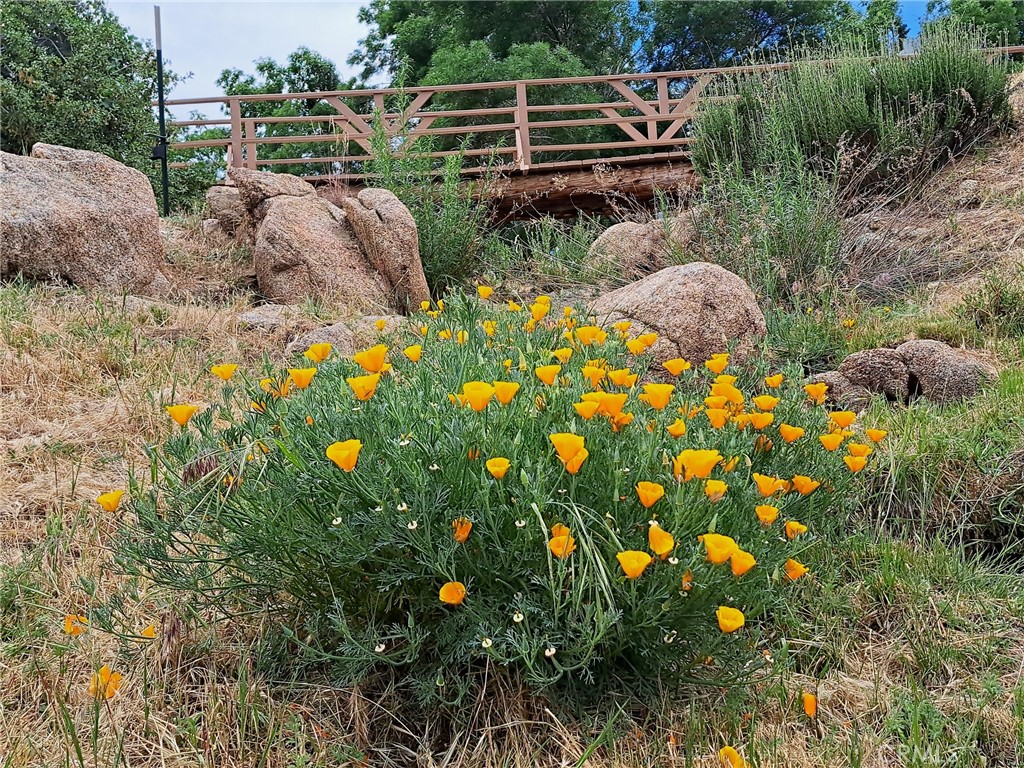 https://media.crmls.org/medias/5e01c498-786c-41b6-9682-9a3ecc1fd28d.jpg?preset=X-Large