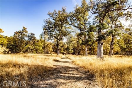 Detail Gallery Image 41 of 54 For 4816 Stumpfield Mountain Rd, Mariposa,  CA 95338 - 2 Beds | 2 Baths