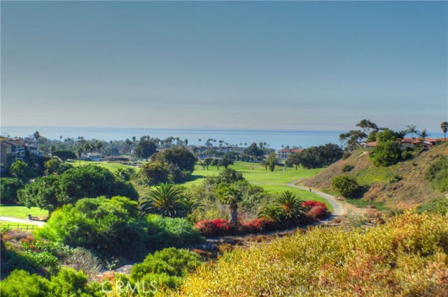 Detail Gallery Image 8 of 41 For 146 Avenida Baja, San Clemente,  CA 92672 - 2 Beds | 1/1 Baths