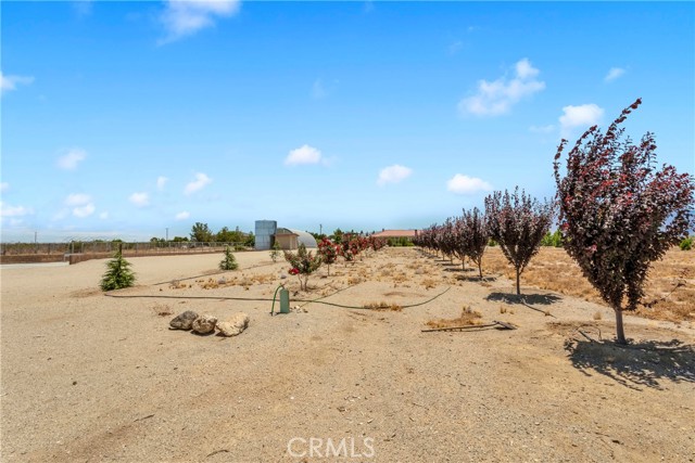 Detail Gallery Image 58 of 73 For 3002 Estero Rd, Pinon Hills,  CA 92372 - 4 Beds | 3/1 Baths