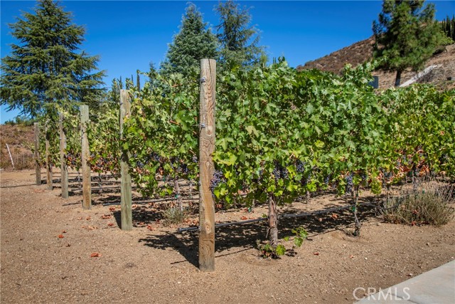 Detail Gallery Image 57 of 64 For 13010 Redwood Ln, Yucaipa,  CA 92399 - 4 Beds | 3 Baths