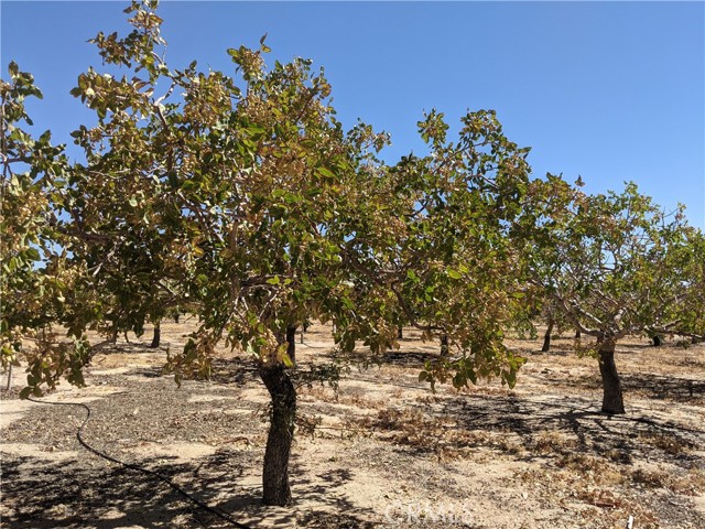 42797 Navajo, Newberry Springs, California 92365, ,Land,For Sale,42797 Navajo,CRHD23161688