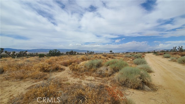 Detail Gallery Image 18 of 24 For 0 Vicinity Kingbird & 243rd  St W, Rosamond,  CA 93560 - – Beds | – Baths