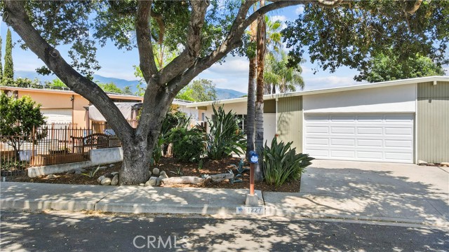 1227 Anita Avenue photo 1